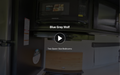 Blue Grey Wolf 360 Tour